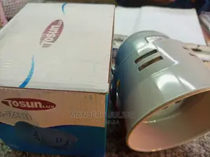 DC Motor Siren