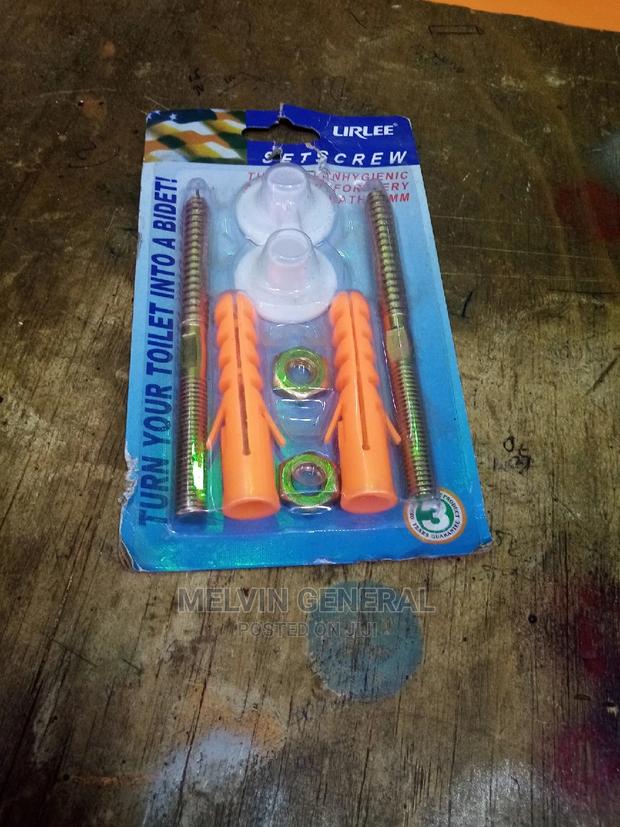 Toilet Screws - main view