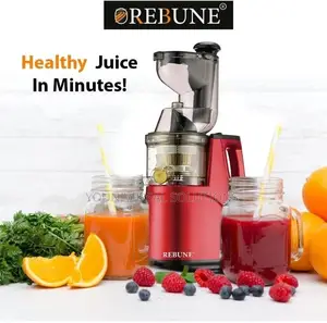 Rebune Slow Juicer