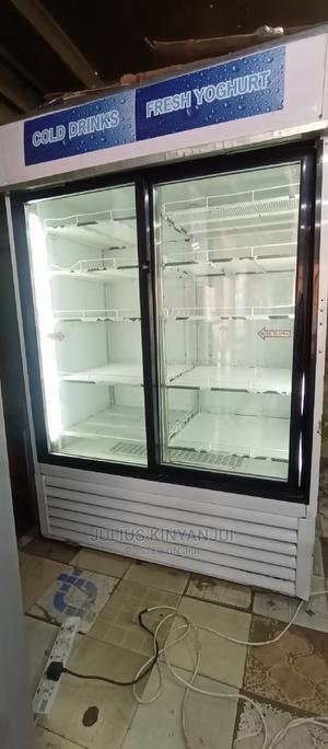 Twin Door Showcase - main view