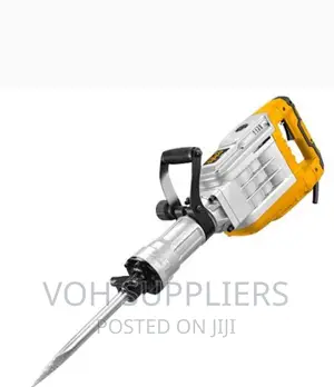Tolsen Heavy Duty Industrial Grade Demolition (1700watts)