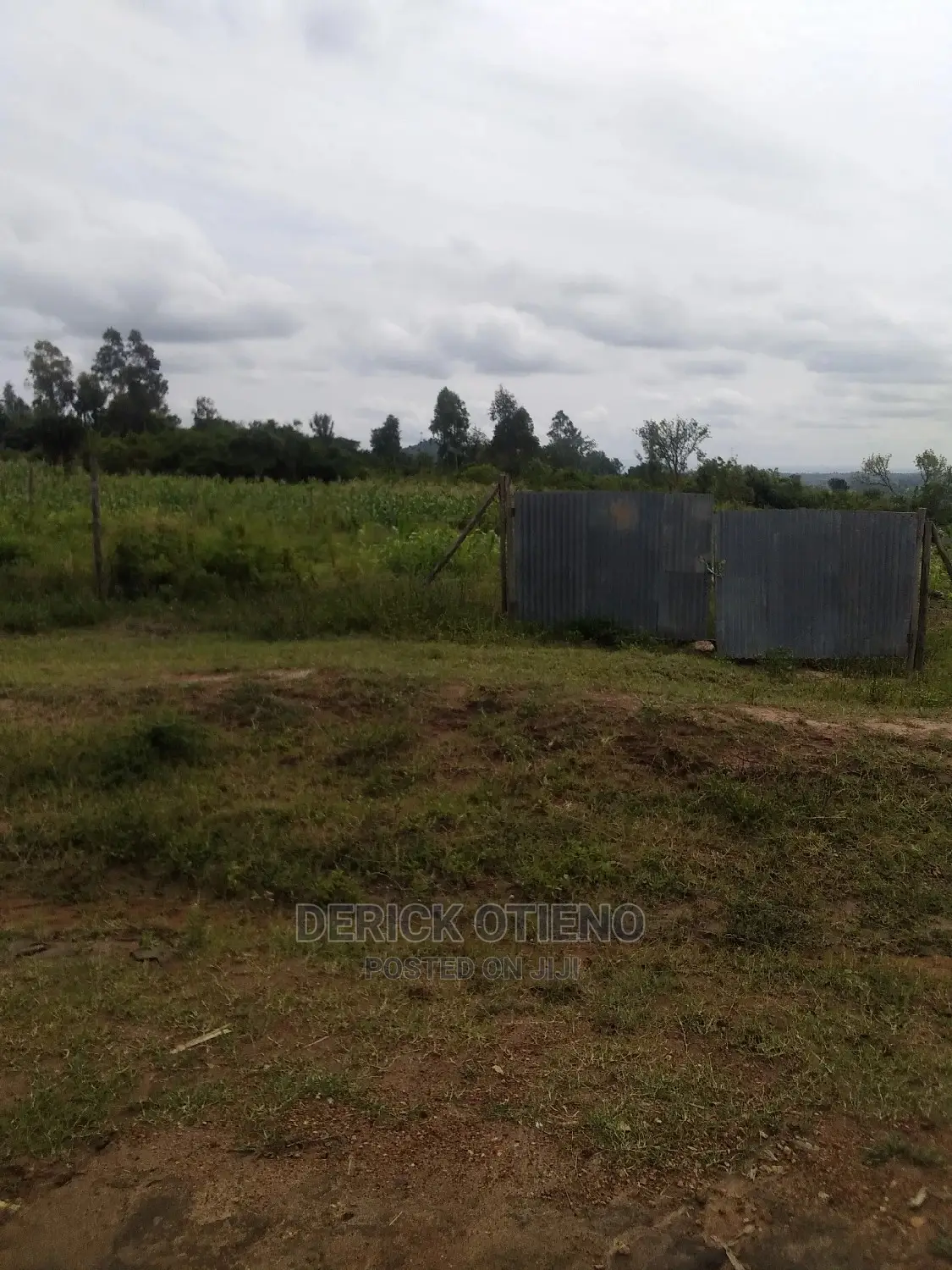 One Acre Plot in Lavington for Sale