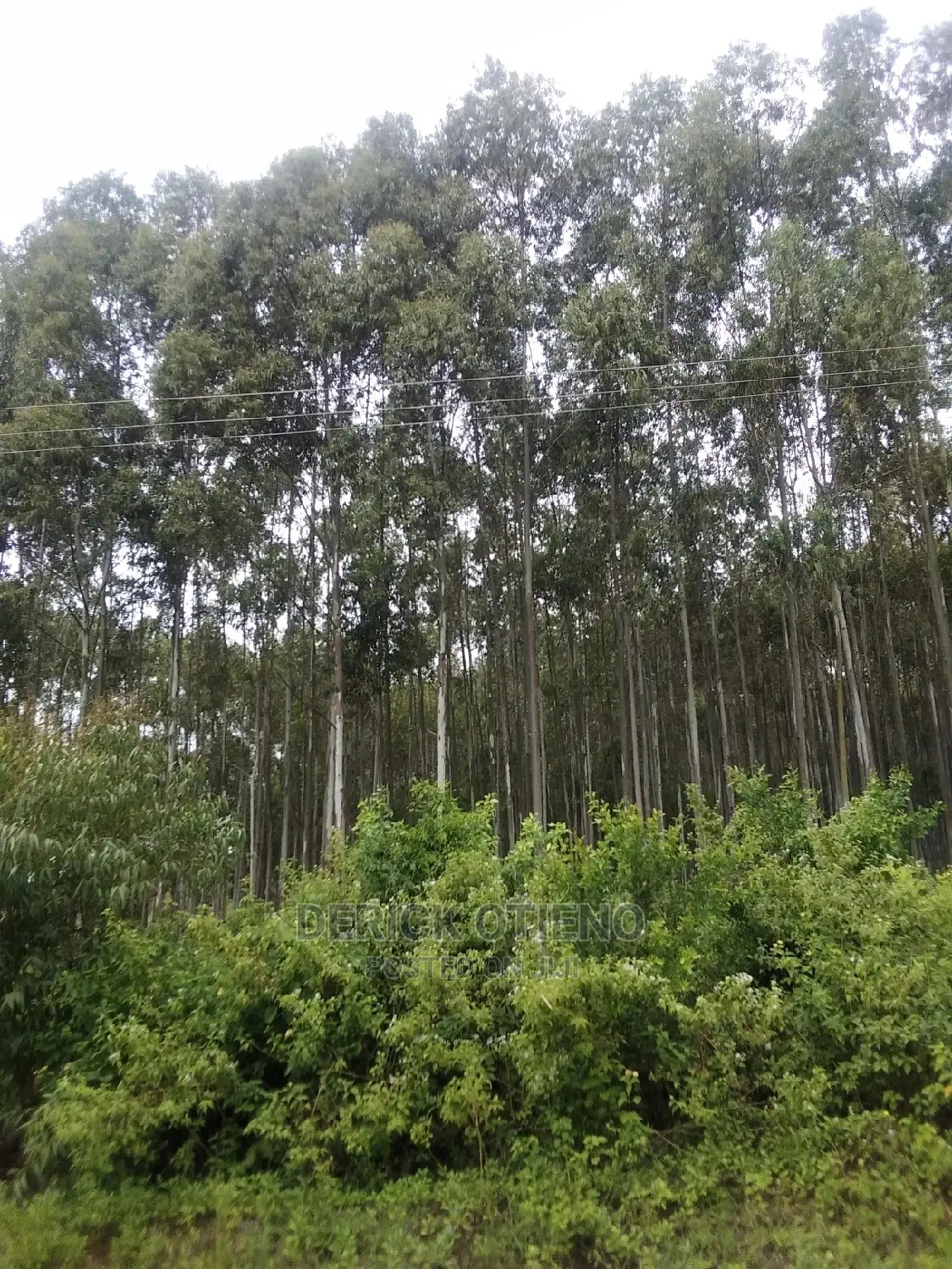 One Acre Plot in Lavington for Sale