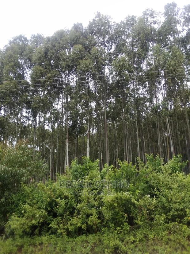 One Acre Plot in Lavington for Sale - thumbnail 3