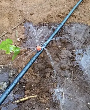 Fruit Drip Irrigation Kits Available : Avocado,Passionfruit