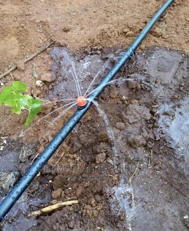Fruit Drip Irrigation Kits Available : Avocado,Passionfruit - main view