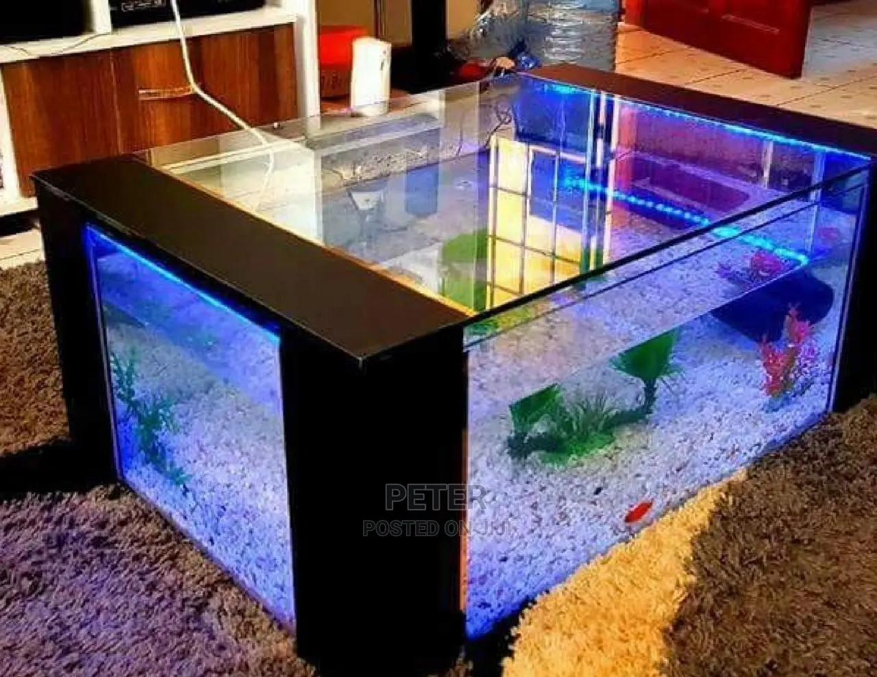 Aqualife Aquarium Store