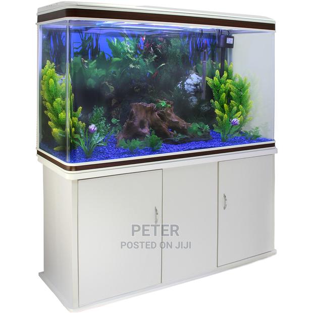 Aqualife Aquarium Store - thumbnail 6