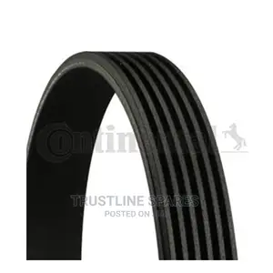 Audi A3,VW Golf,Touran,Passat, Ribbed v-Belt-Contitech.