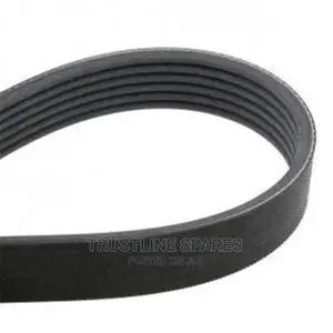 Audi A3,VW Golf,Touran,Passat, Ribbed v-Belt-Contitech.