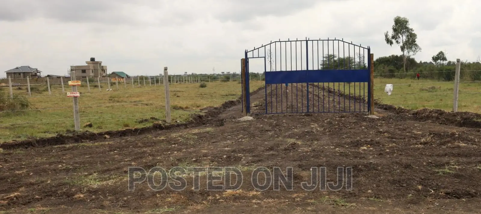 Graceville Phase II in Ruiru Kamakis