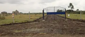 Graceville Phase II in Ruiru Kamakis