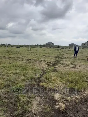 Graceville Phase II in Ruiru Kamakis