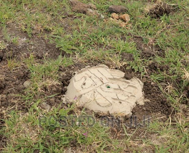 Graceville Phase II in Ruiru Kamakis - thumbnail 4