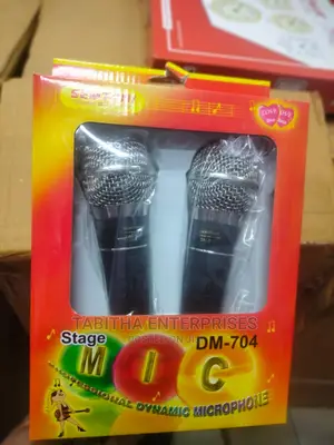 Professional Microphone