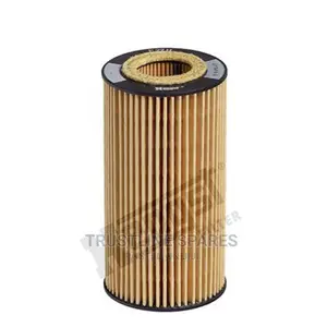 Audi A1,A4,A6,Q3, Oil Filter-Hengst (E27h D125)