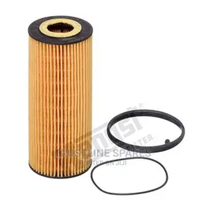 Audi A6,A7,A8,Q5,Q7,Oil Filter-Hengst (E864H D184)
