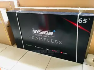 Vision 65"