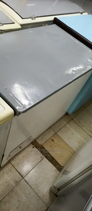 Deep Freezer 300L