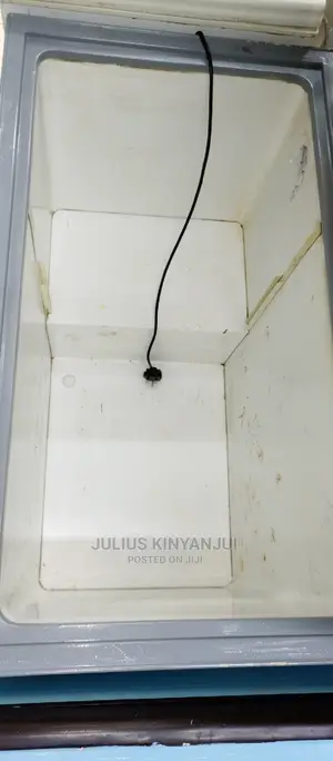 Deep Freezer 300L