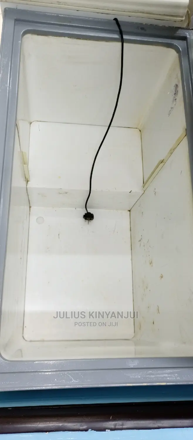 Deep Freezer 300L