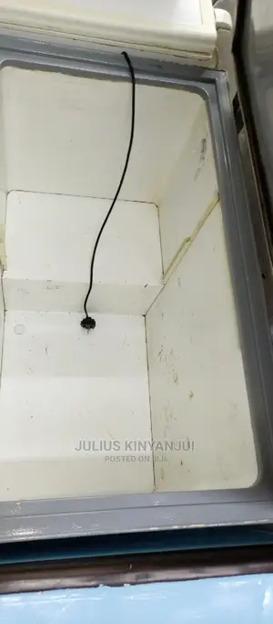 Deep Freezer 300L
