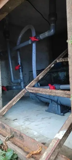 Pond Filtration System Installation
