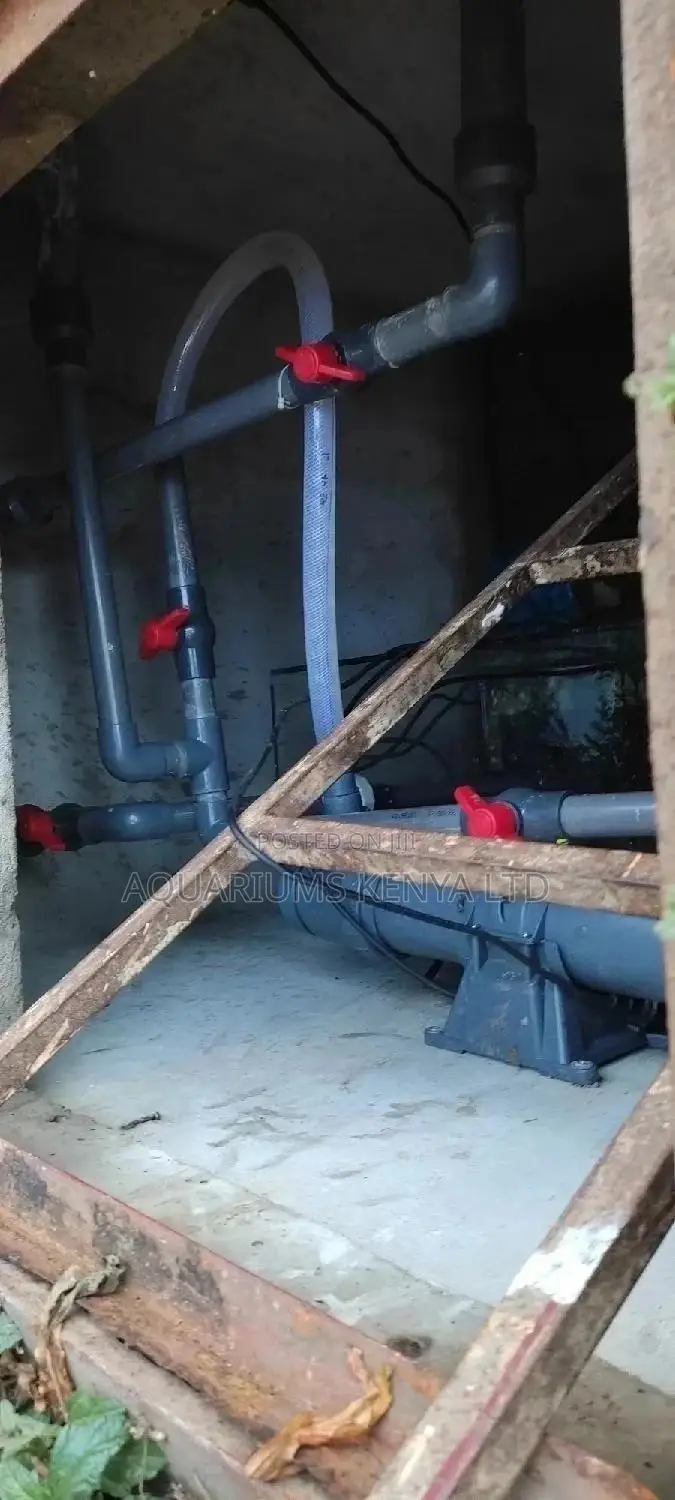 Pond Filtration System Installation