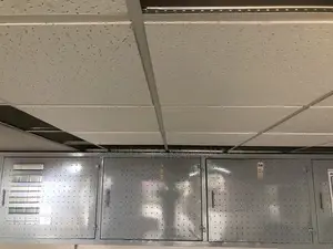 Acoustic Ceilings 14mm (Tegular -With a Groove)