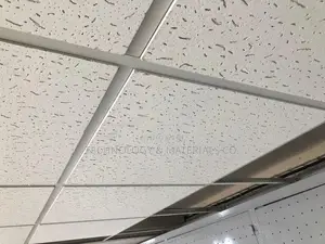 Acoustic Ceilings 14mm (Tegular -With a Groove)
