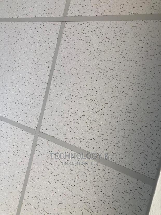Mineral Fiber Acoustic Ceiling - main view