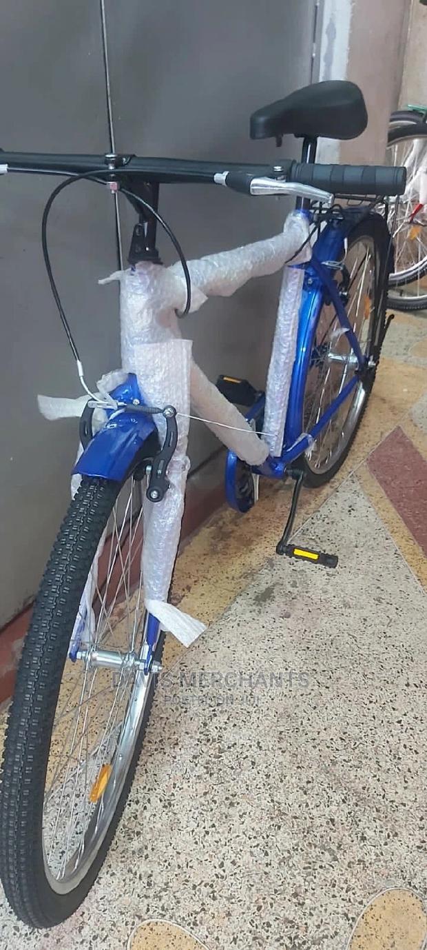 Single Speed Bicycle - main view