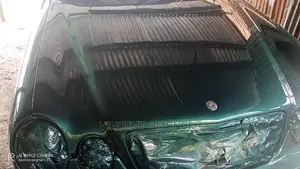 Spray Painting Services