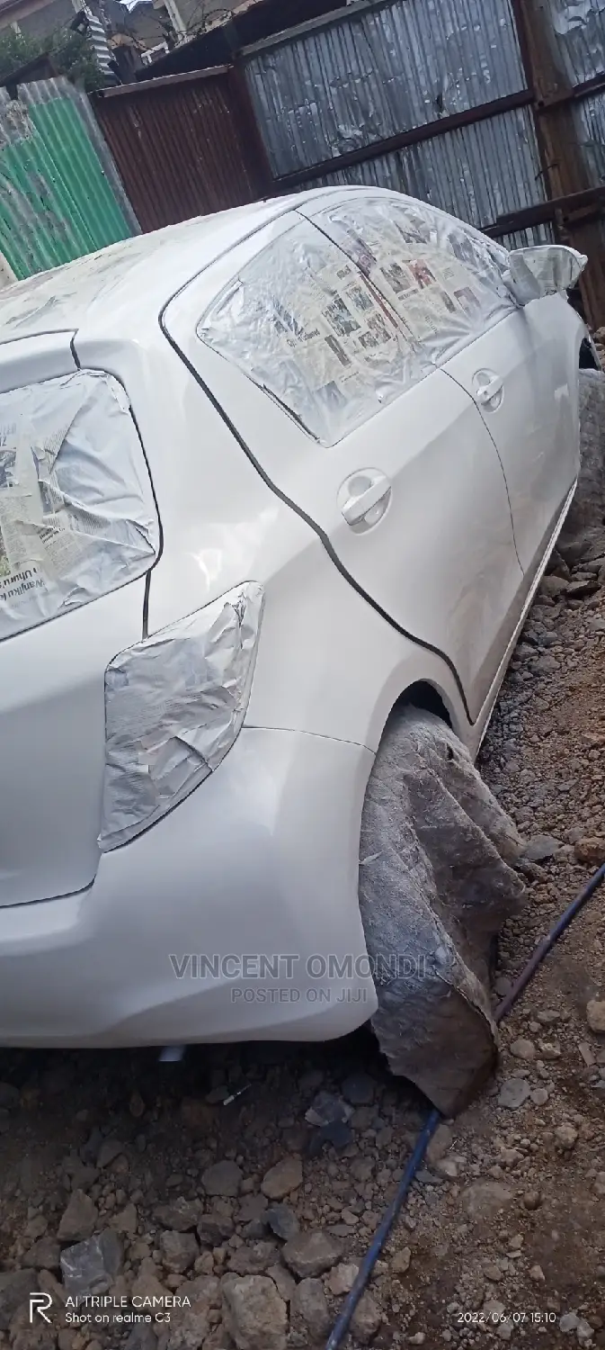 Spray Painting Services