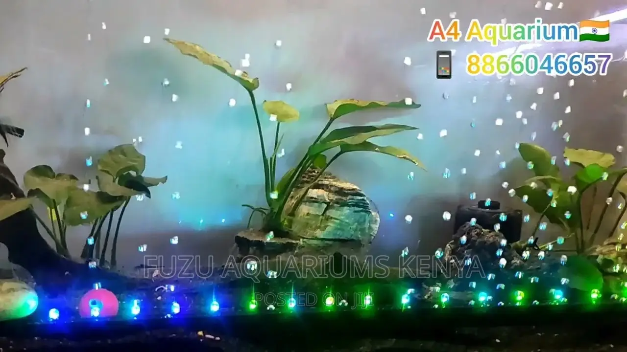 Aquarium Light With Bubbles
