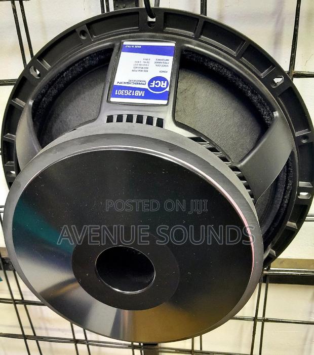 12inch Rcf Midrange Speaker - main view