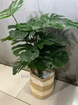 Artificial Plant With Basket and Pebbles