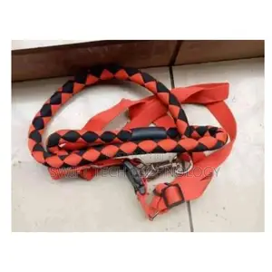 Double Dog Leashes