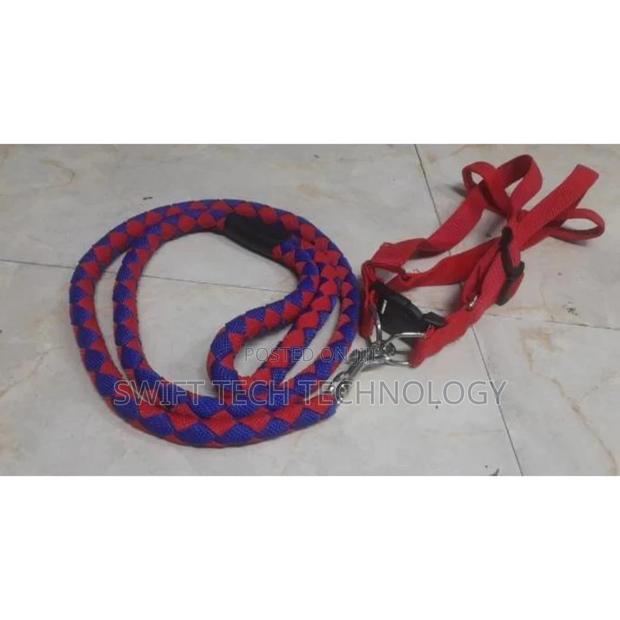 Dog .Leashes - main view
