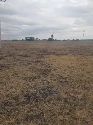 Konza Plots (50*100)