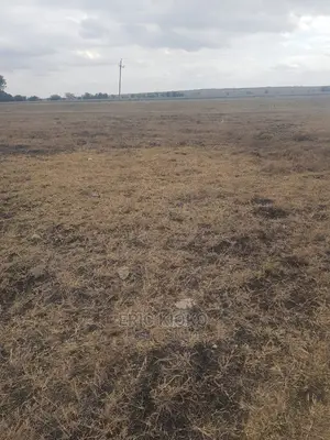 Konza Plots (50*100)