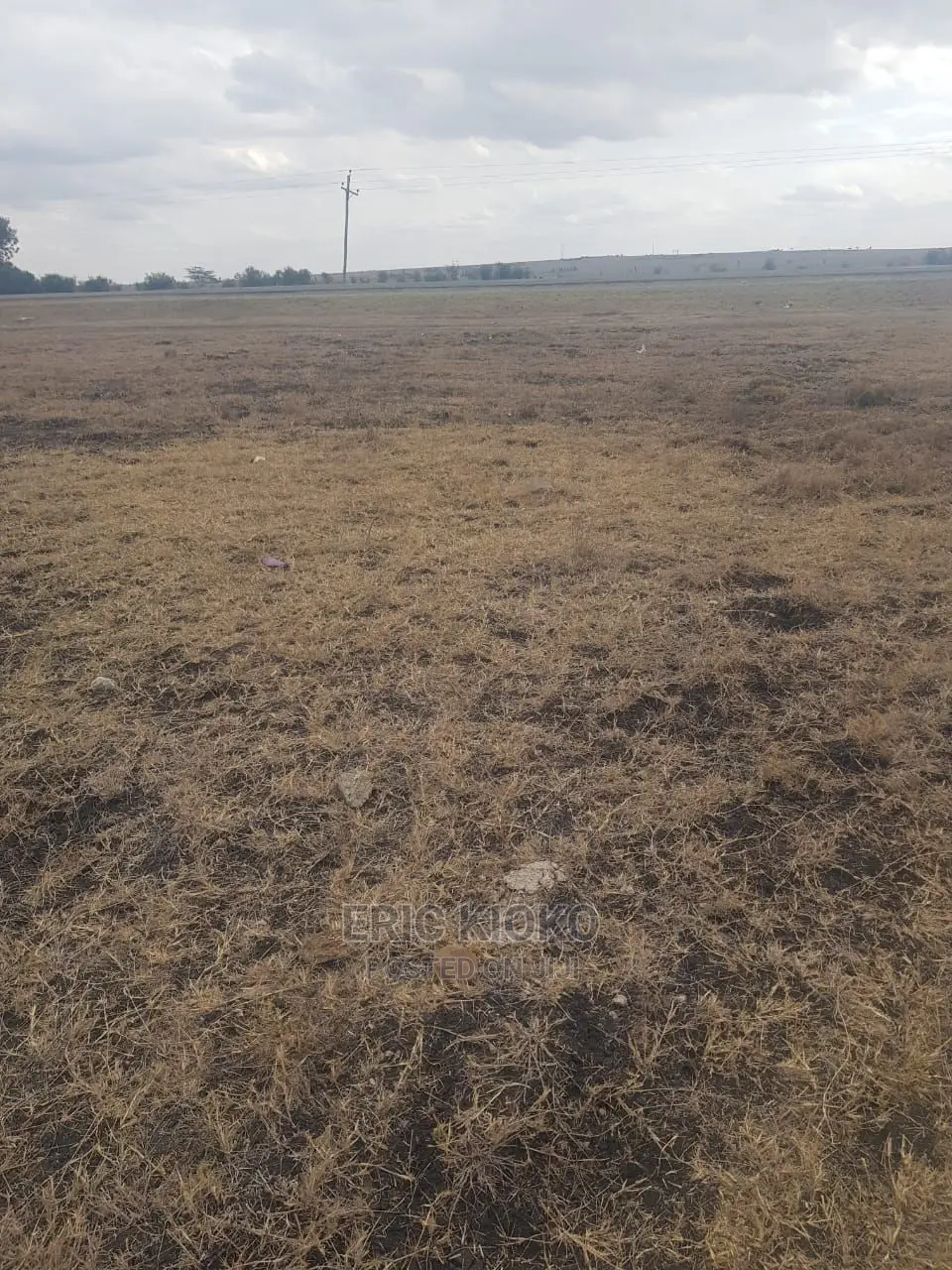 Konza Plots (50*100)