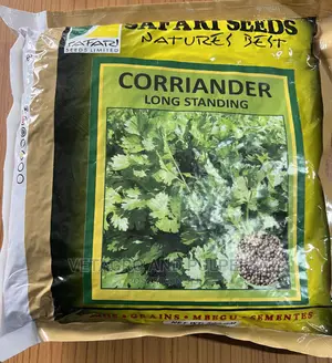 Coriander Long Standing 250gm and 500gm