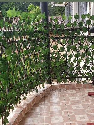 Expandable Privacy Hedge - thumbnail 2