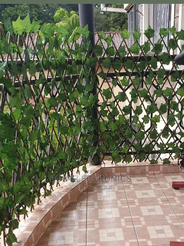 Expandable Privacy Hedge - main view