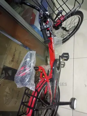 Kids Bicycle Modern