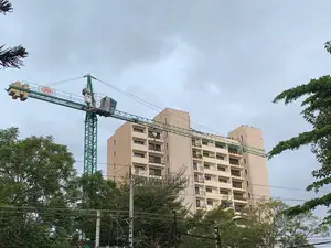 Tower Crane for Hire/Sale