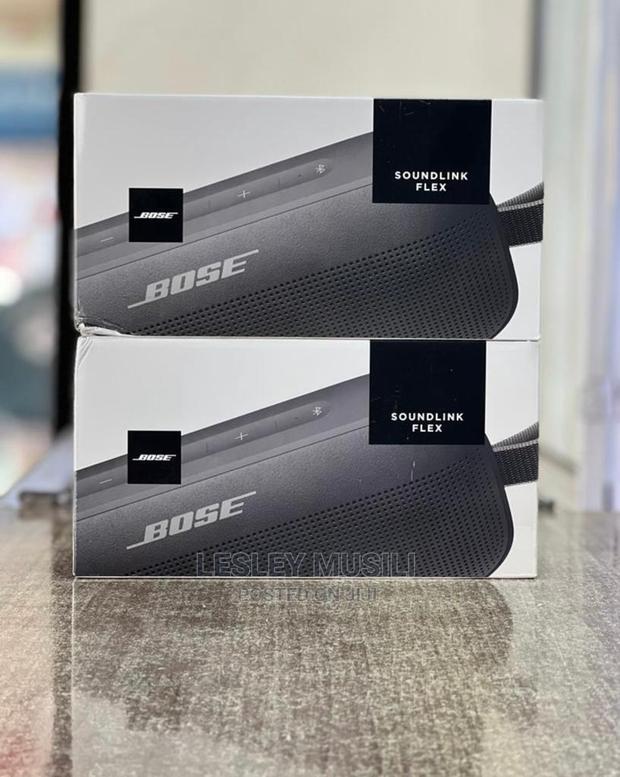 Bose Soundlink Flex - main view