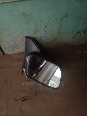 Probox Side Mirror