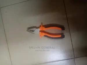 Small Dotted Pliers 6"